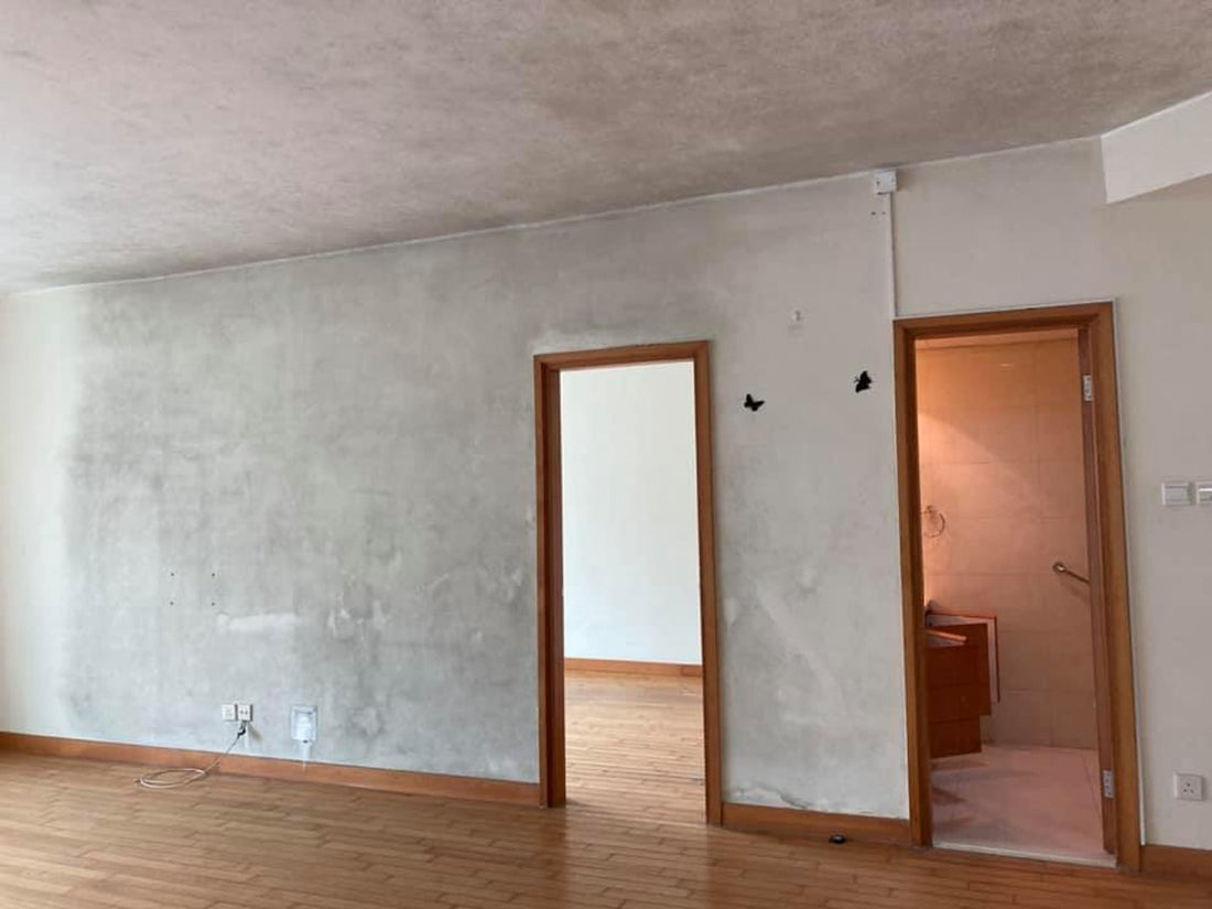 牆壁發霉怎麼辦？原因與解決方法全攻略