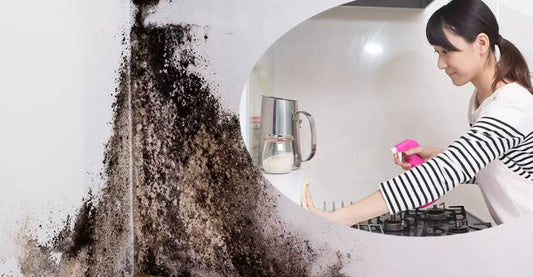 牆壁發霉怎麼辦？告別黑點，根除霉菌的終極指南