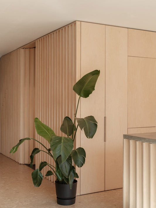 了解現代牆面黏土：屋主需要知道的抹灰與油漆知識