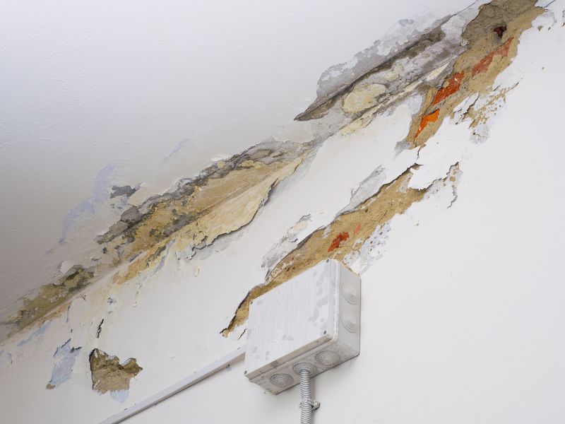 天花板霉菌防治方法分享